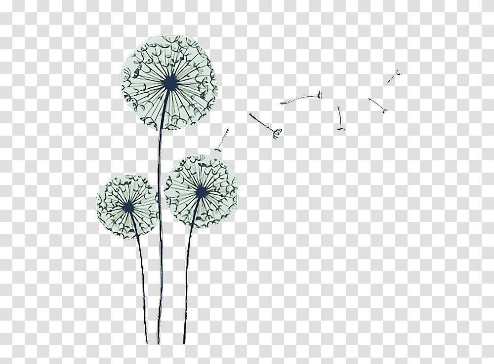 Tumblr Aesthetic Tumblraesthetic Aesthetictumblr Dandelion, Plant, Flower, Blossom, Clock Tower Transparent Png