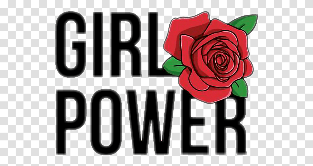 Tumblr Collage Stickers Girl Power Em, Plant, Rose, Flower, Blossom Transparent Png
