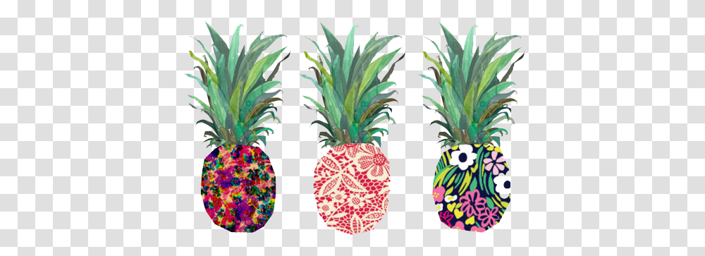 Tumblr Donut Pineapple Desktop Backgrounds, Plant, Fruit, Food Transparent Png