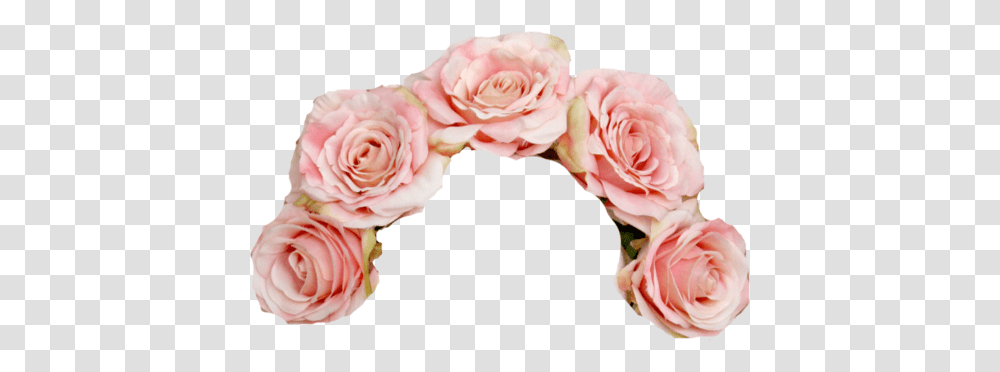 Tumblr Flower Crown Image Pink Flower Crown, Plant, Rose, Blossom, Petal Transparent Png