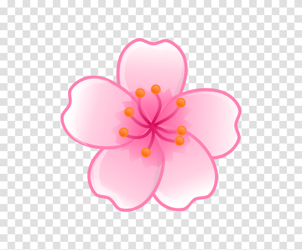 Tumblr Flower Drawing, Plant, Blossom, Anther, Geranium Transparent Png