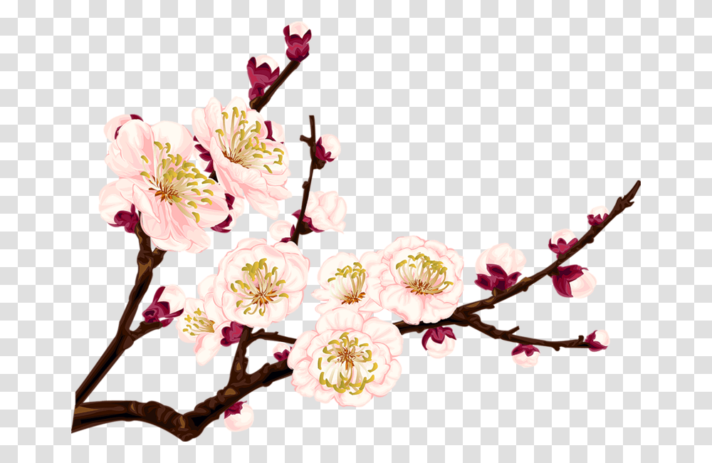 Tumblr Flower Flowers Branch Branchs, Plant, Cherry Blossom Transparent Png