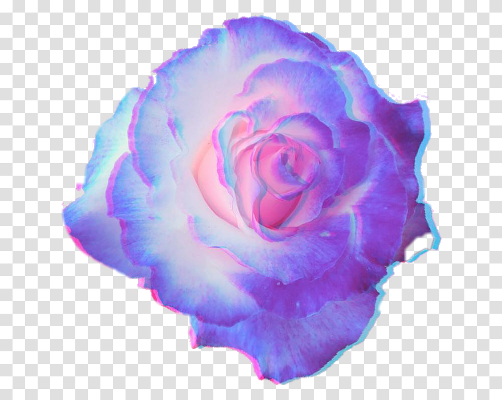 Tumblr Flower Pastel Purple Flower, Plant, Blossom, Rose, Petal Transparent Png