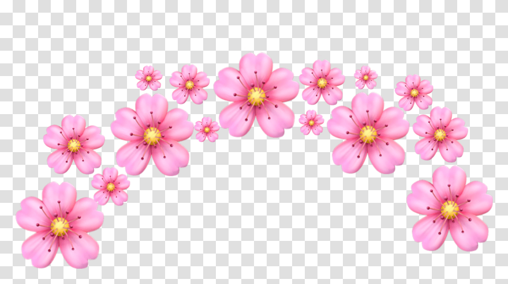 Tumblr Flower Pink Emoji Flower Crown, Plant, Blossom, Anther, Cherry Blossom Transparent Png