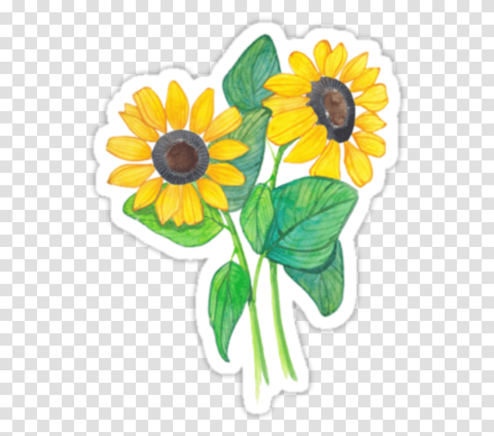 Tumblr Flowers Sticker Picsart Tumblr Stickers, Plant, Blossom, Sunflower, Daisy Transparent Png