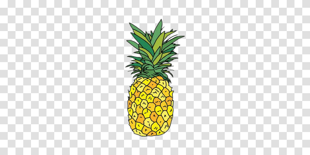 Tumblr Image, Pineapple, Fruit, Plant, Food Transparent Png