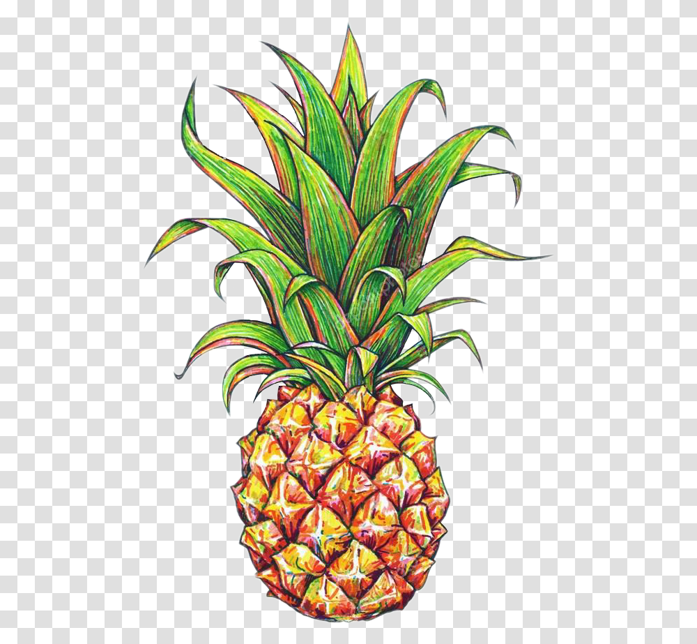 Tumblr Pineapple Pineapple Drawing, Plant, Fruit, Food, Painting Transparent Png