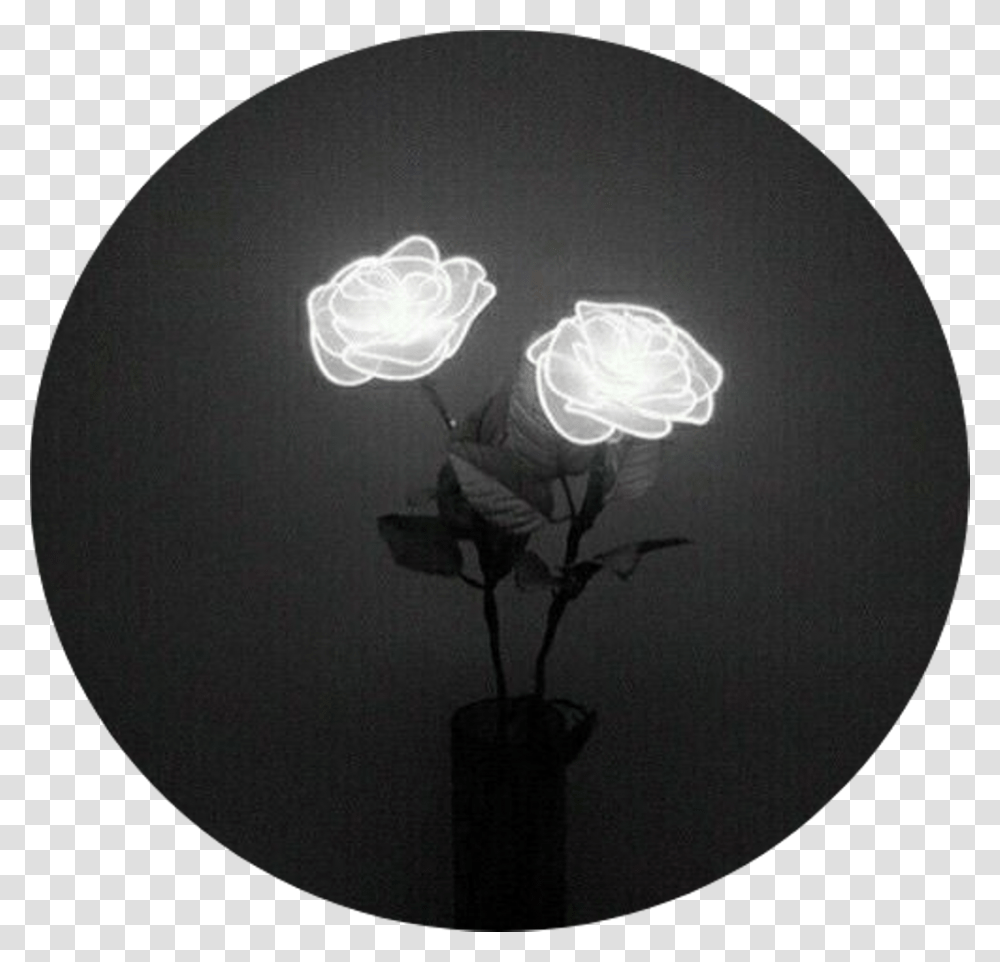 Tumblr Rose Aesthetic Black Neon Lights, Lighting, X-Ray, Ct Scan, Flower Transparent Png