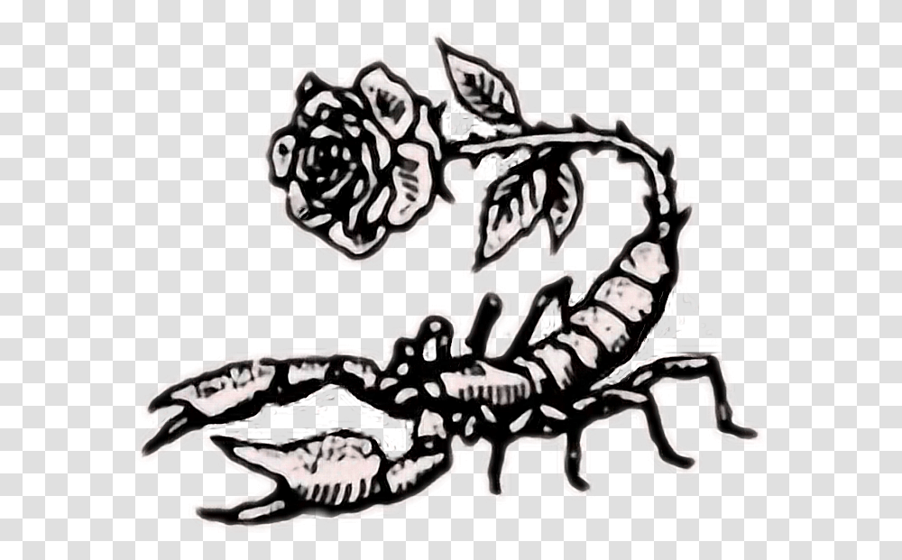 Tumblr Rose Rock Scorpion Scorpio Wallpaper For Iphone Scorpion Drawing, Animal, Stencil, Invertebrate, Art Transparent Png
