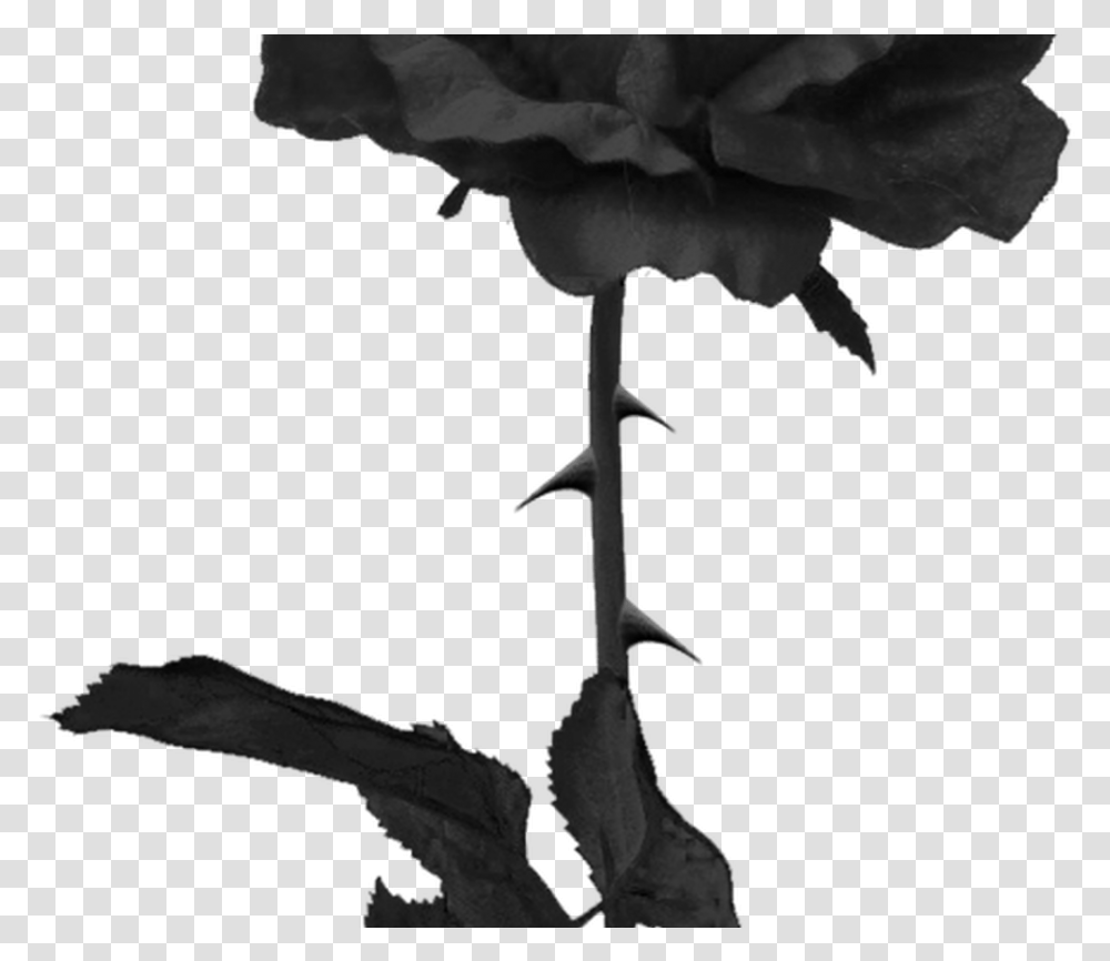 Tumblr Roseblackrose Black Grunge Edgy Dark Rose, Plant, Flower, Blossom, Acanthaceae Transparent Png