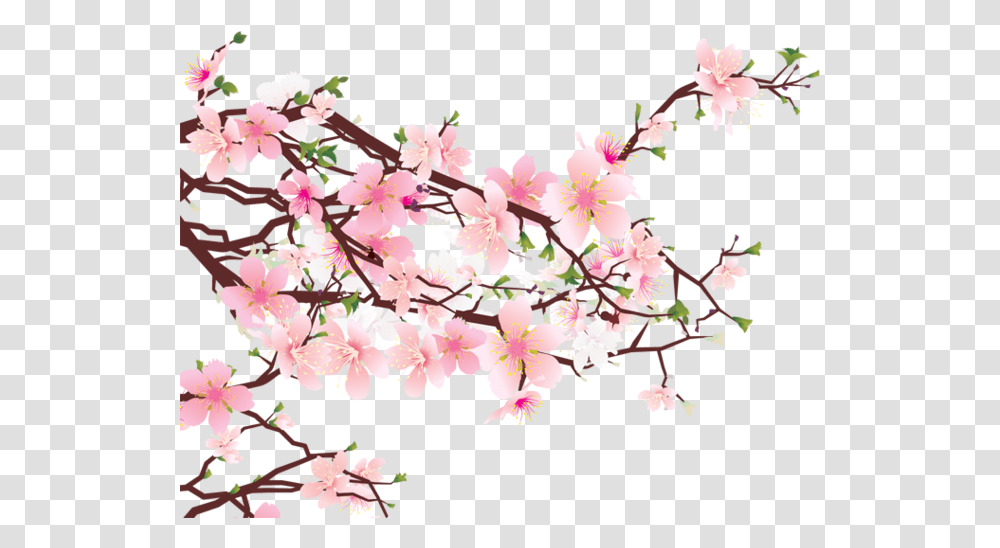 Tumblr Static 640 V2 Cherry Blossom Full Size Sakura Symbol Of Japan, Flower, Plant, Petal Transparent Png