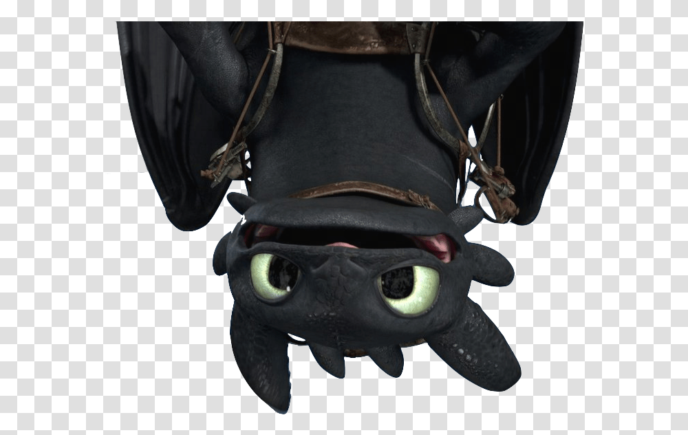 Tumblr Static Toothless, Person, Human, Animal, Harness Transparent Png