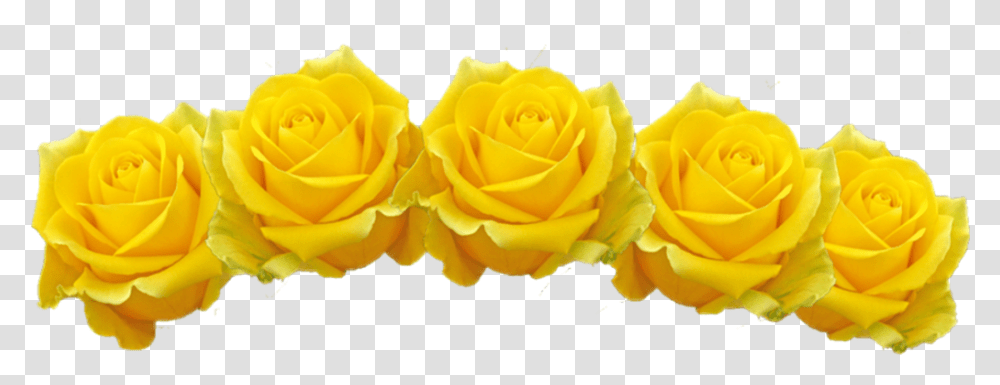 Tumblr Sticker By Toruu Yellow Flower Crown, Rose, Plant, Blossom, Petal Transparent Png