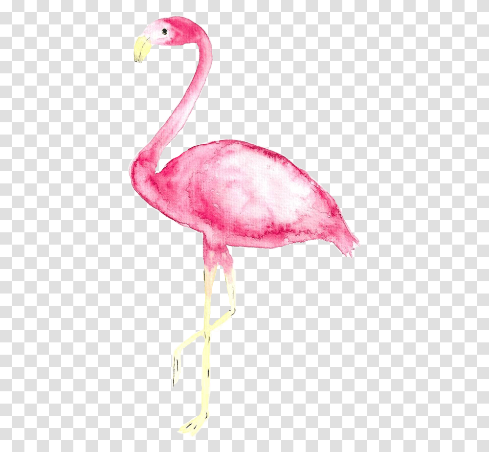 Tumblr Watercolor Aquarelle Flamingo Freetoedit Iphone Xs Max Wallpaper Flamingo, Bird Transparent Png