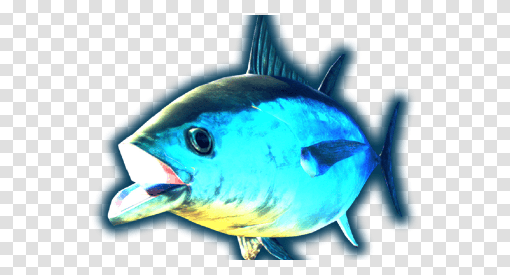 Tuna Can Clipart Billfish, Sea Life, Animal, Bonito Transparent Png