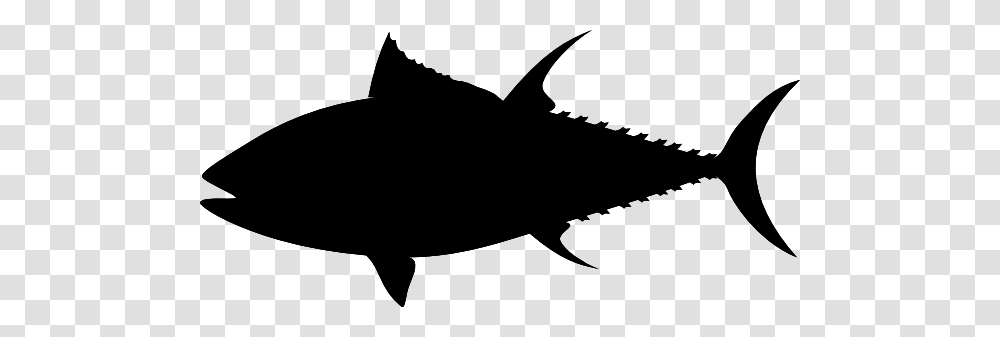 Tuna Clip Art, Fish, Animal, Sea Life, Stencil Transparent Png