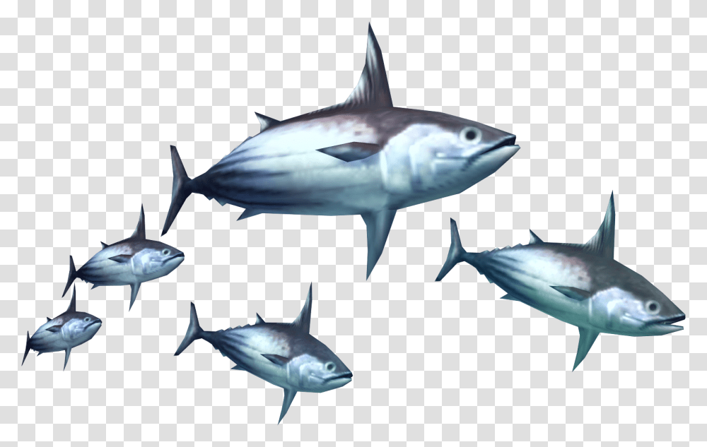 Tuna Clipart Fish Meat Monster Hunter Tri Monster, Sea Life, Animal, Bird, Shark Transparent Png