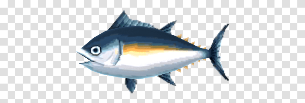 Tuna Fish Fish Animal Crossing, Sea Life, Shark, Bonito Transparent Png