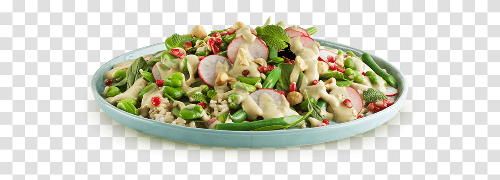 Tuna Salad, Plant, Vegetable, Food, Produce Transparent Png