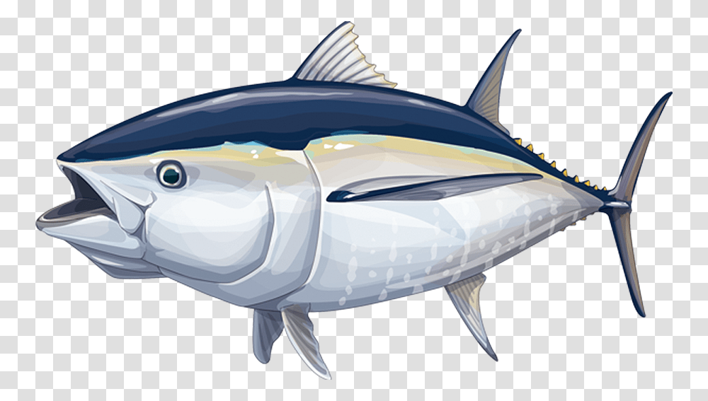 Tuna, Sea Life, Fish, Animal, Jacuzzi Transparent Png