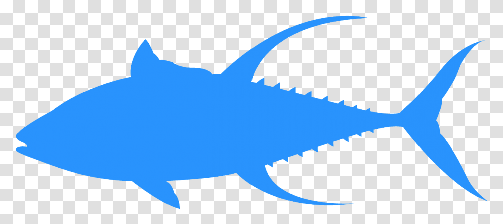 Tuna Silhouette, Fish, Animal, Sea Life, Shark Transparent Png