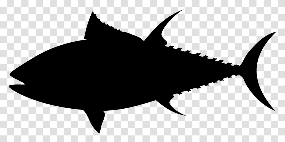 Tuna Silhouette, Gray, World Of Warcraft Transparent Png