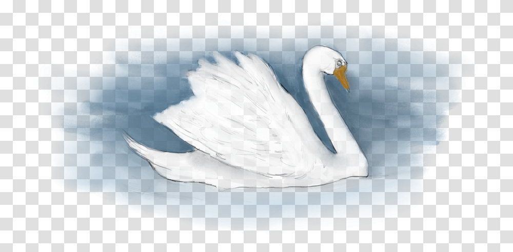 Tundra Swan, Bird, Animal, Waterfowl, Anseriformes Transparent Png