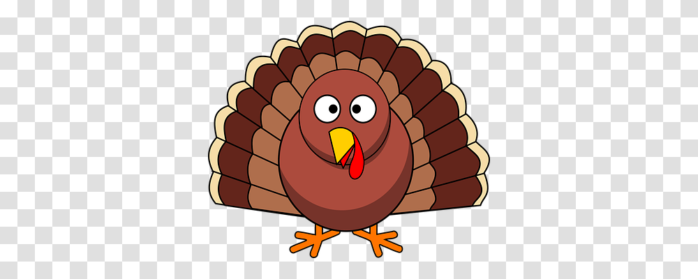 Turkey Holiday, Bird, Animal, Fowl Transparent Png