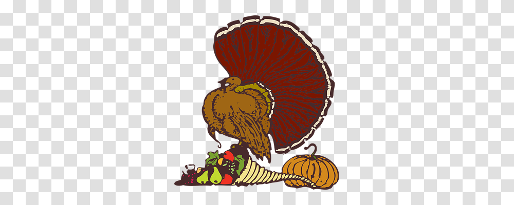 Turkey Holiday, Plant, Flower, Outdoors Transparent Png