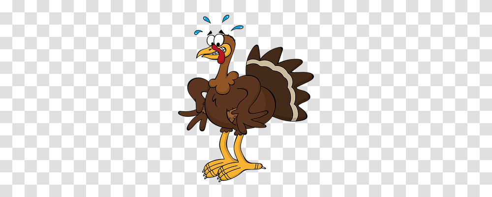 Turkey Animals, Bird, Dodo, Beak Transparent Png