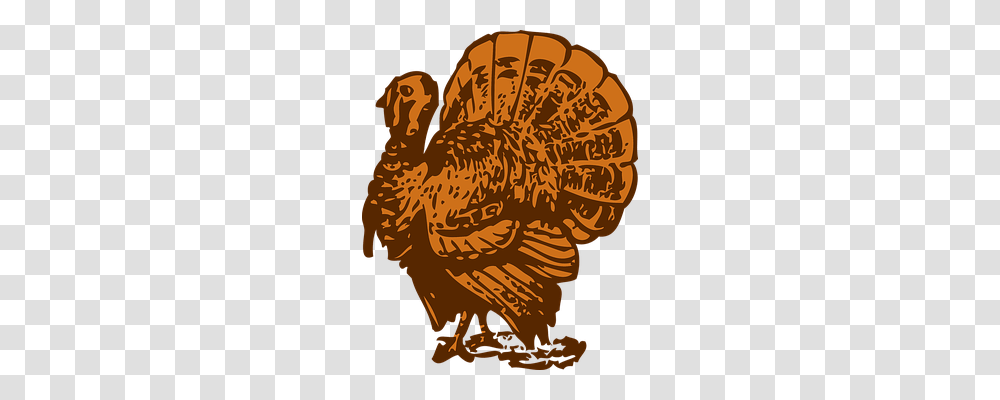 Turkey Food, Poultry, Fowl, Bird Transparent Png