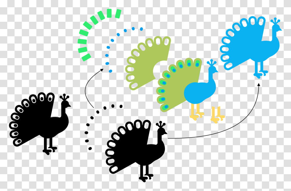 Turkey, Animal, Bird Transparent Png