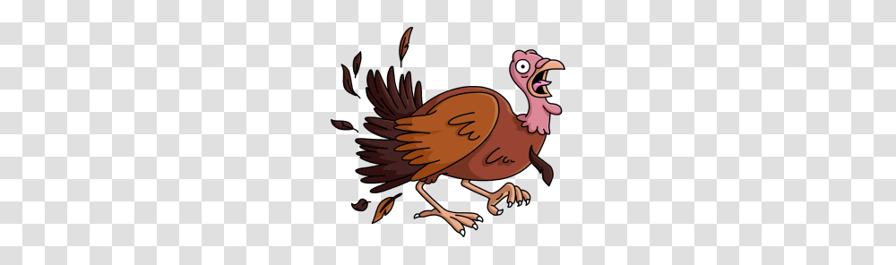 Turkey, Animals, Bird, Dodo, Poultry Transparent Png