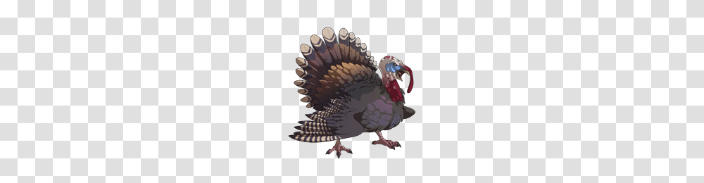 Turkey, Animals, Bird, Dodo, Vulture Transparent Png