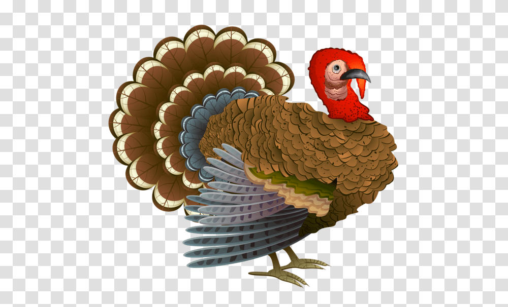 Turkey, Animals, Bird, Peacock, Turkey Bird Transparent Png