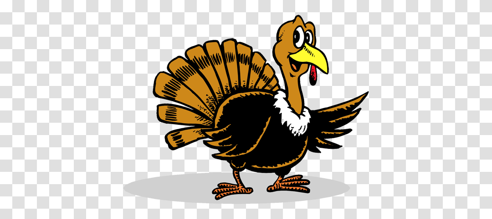 Turkey, Animals, Bird, Turkey Bird, Poultry Transparent Png