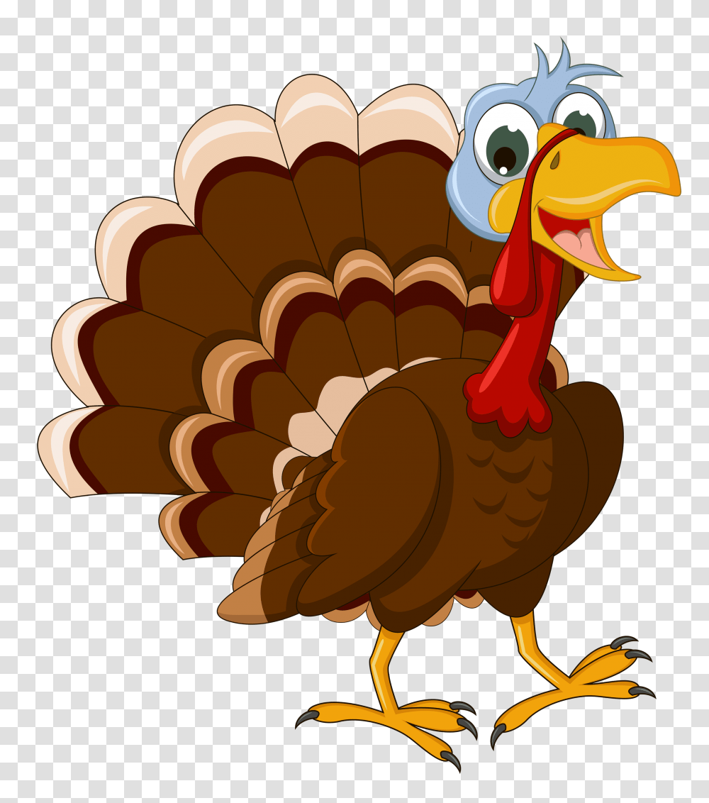 Turkey, Animals, Fowl, Bird, Poultry Transparent Png