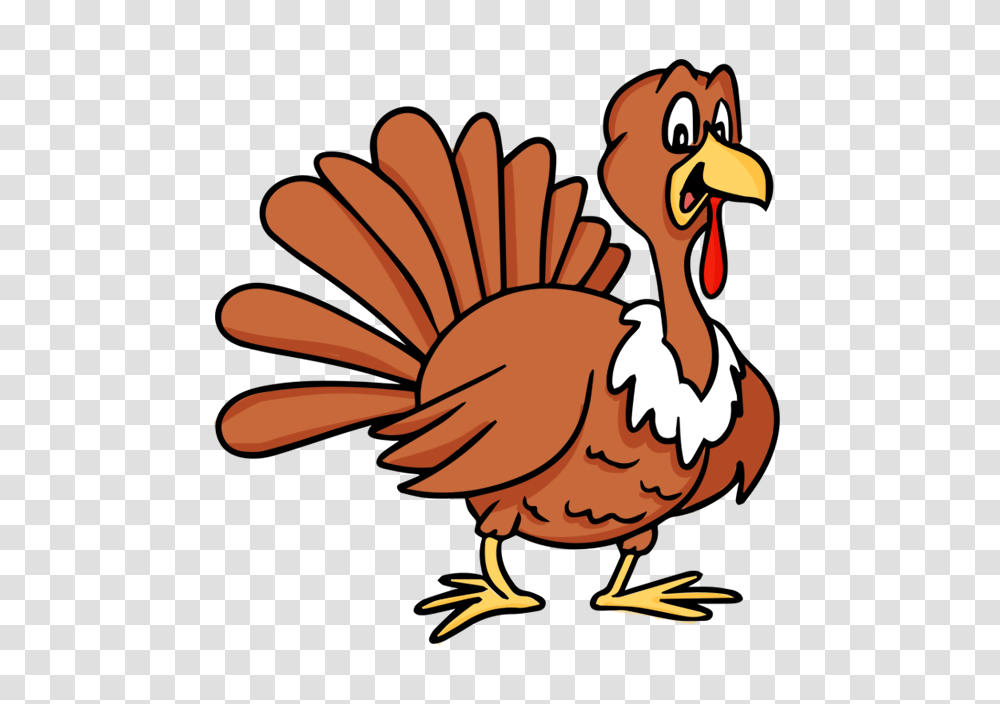 Turkey, Animals, Fowl, Bird, Poultry Transparent Png