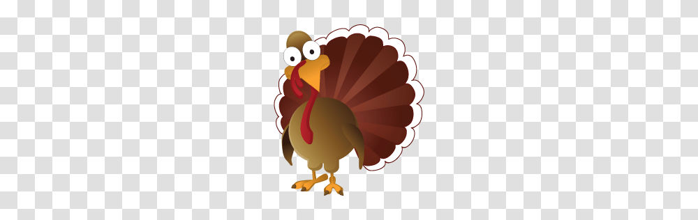 Turkey, Animals, Fowl, Bird, Poultry Transparent Png