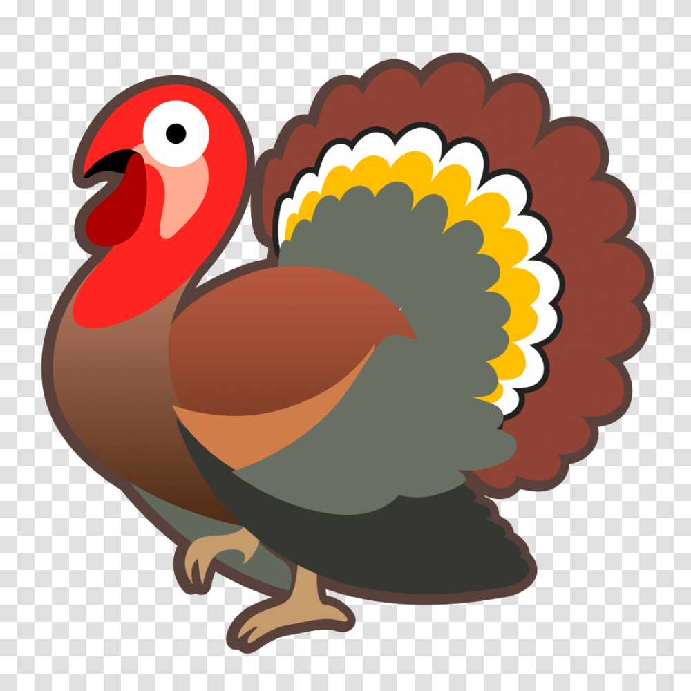 Turkey, Animals, Turkey Bird, Poultry, Fowl Transparent Png