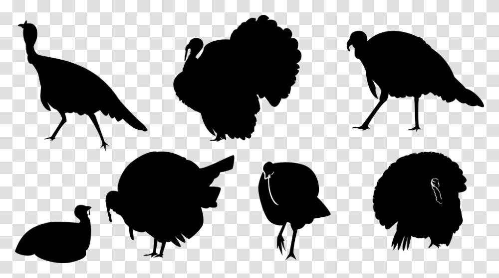 Turkey Ave Silhouette Chick Animal Wings Tail Turkey, Gray, World Of Warcraft Transparent Png