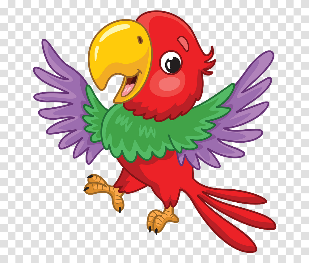 Turkey, Bird, Animal, Macaw, Parrot Transparent Png