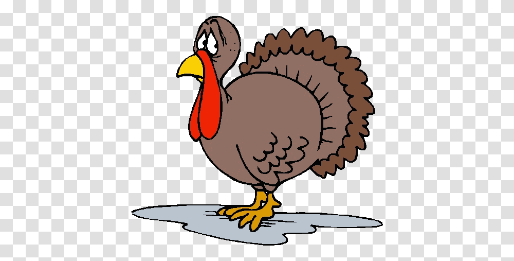 Turkey Bird Clipart Fake, Animal, Fowl, Poultry Transparent Png