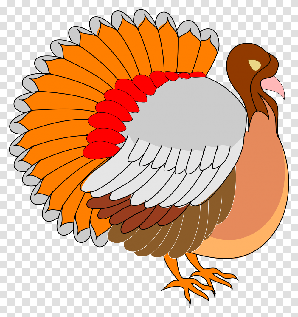 Turkey Bird Clipart Tumblr Free Clip Art Turkey Clip Art, Animal, Fowl, Poultry, Pheasant Transparent Png