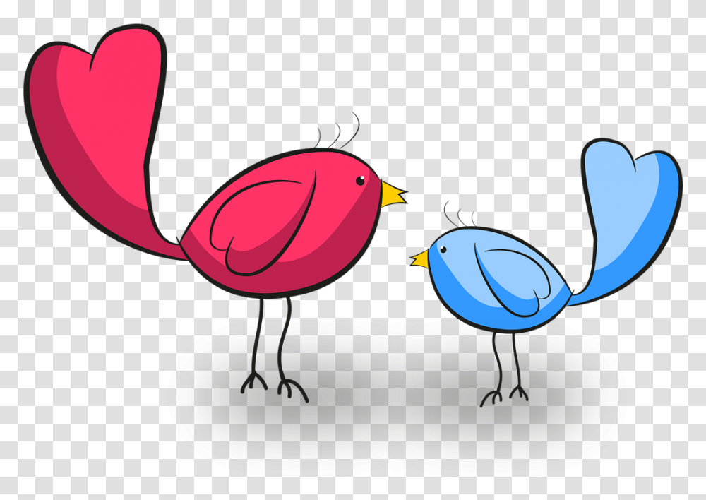 Turkey, Bluebird, Animal, Jay Transparent Png
