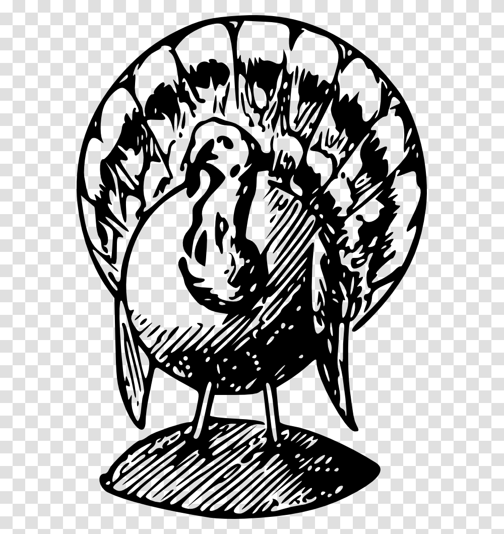 Turkey Bw Black And White Turkey Clipart, Bird, Animal, Turkey Bird, Poultry Transparent Png
