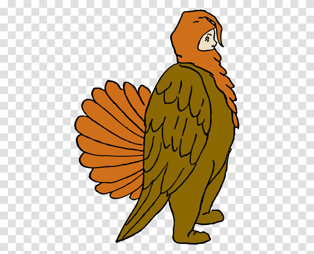 Turkey Cartoon Pavo De Disfraces, Bird, Animal, Vulture, Eagle Transparent Png