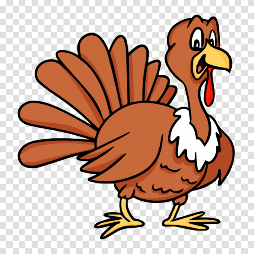 Turkey Clip Art Images Free Clipart Download, Fowl, Bird, Animal, Poultry Transparent Png
