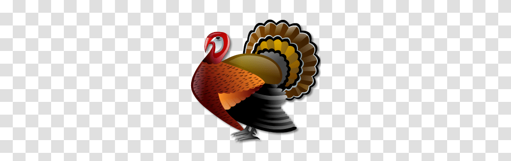 Turkey Clipart, Animal, Bird, Beak, Waterfowl Transparent Png