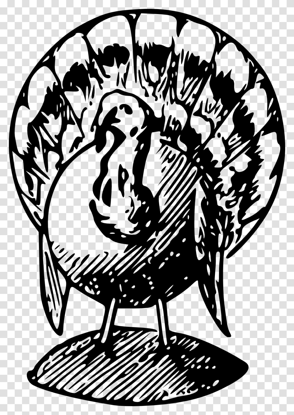 Turkey Clipart Black And White, Bird, Animal, Turkey Bird, Poultry Transparent Png